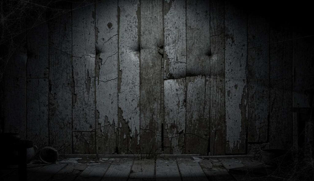 Ich höre Mäuse in den Wänden meines Hauses – wie werde ich sie los?